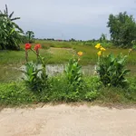 Bán đất thổ 100% 275m² Bình Hòa Bắc Đức Huệ 450 triệu - Ảnh thu nhỏ 1