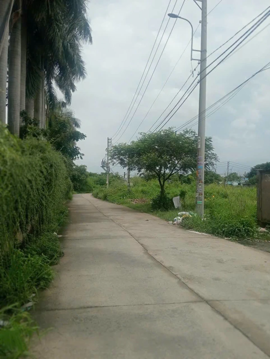 Bán kho xưởng 192m2 Xuân Thới Sơn Hóc Môn 6,8 tỷ - Ảnh thu nhỏ 5