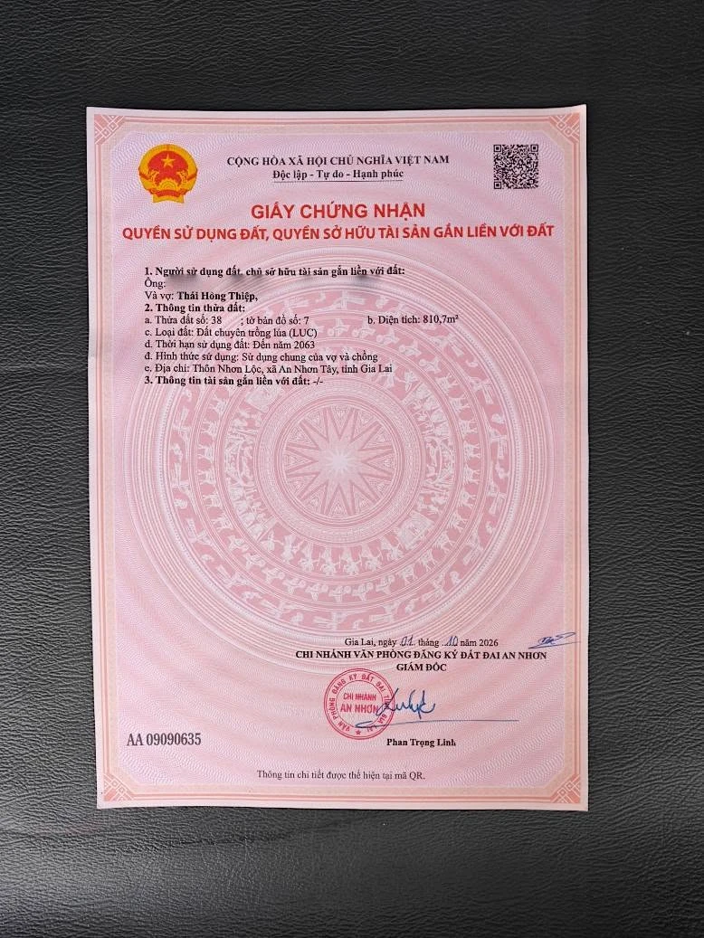 Bán đất ruộng 800m2 gần Làng Rượu Bầu Đá, An Nhơn Tây 120 triệu - Ảnh thu nhỏ 2