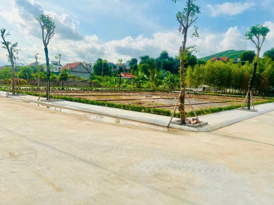 1 Lô góc 109m2, 32,7tr/m2 siêu rẻ. Sẵn sổ hồng. Cho thuê ngay 16 triệu/ đất nền trong dự án VIN HLX - Ảnh thu nhỏ 4