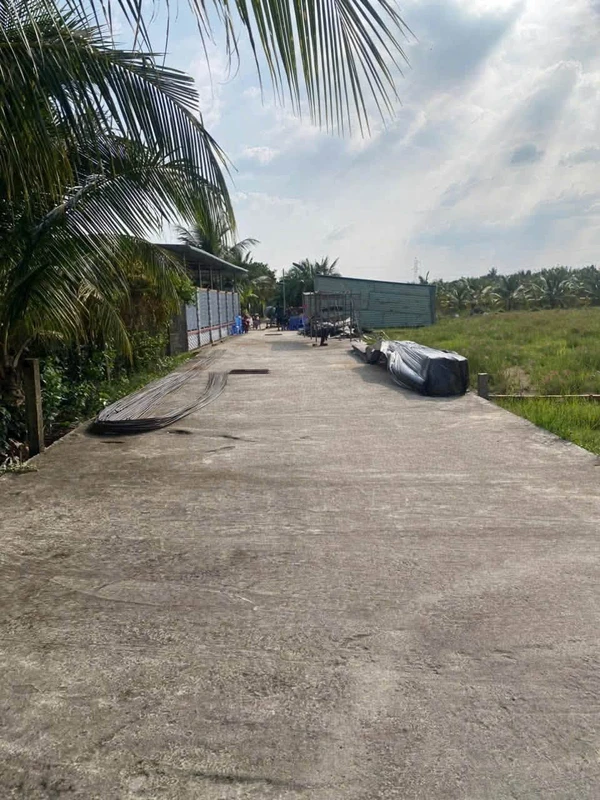 Bán đất 1.396m2 (đất lúa và đất thổ cư) phường Khánh Hậu, Tân An, Tây Ninh giá 1,7 tỷ