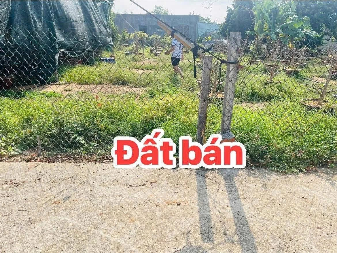 Bán đất 112m2 (60m2 thổ cư) nhánh Đường số 2, Hoà Long, TP Bà Rịa, giá 1,29 tỷ - Ảnh thu nhỏ 2