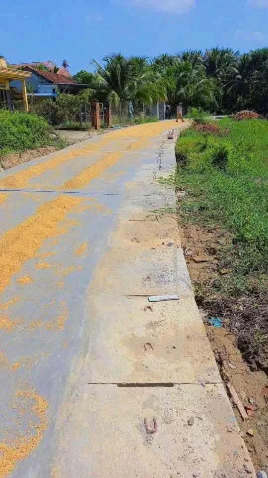 Bán đất 3 mặt tiền Tân Hưng Ninh Hòa 302,5m² giá 850 triệu - Ảnh thu nhỏ 2