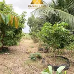 Bán lô đất vườn 5838m² Phường An Xuyên Cà Mau 2 tỷ - Ảnh thu nhỏ 4