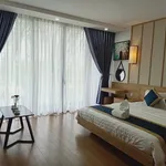 Bán villa 2 mặt tiền 175m² 3 tầng, Hội An Đông Mới, Đà Nẵng - Ảnh thu nhỏ 4