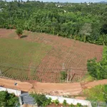 Bán đất sào view suối gần Hồ Ea Kao 1000m² - Ảnh thu nhỏ 3