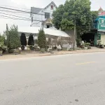 Lô đất mặt đường QL 37, Việt Yên, Bắc Giang. 140m2, mặt tiền: 7,2m, Kinh doanh bất chấp. Giá 5,3 tỷ - Ảnh thu nhỏ 11
