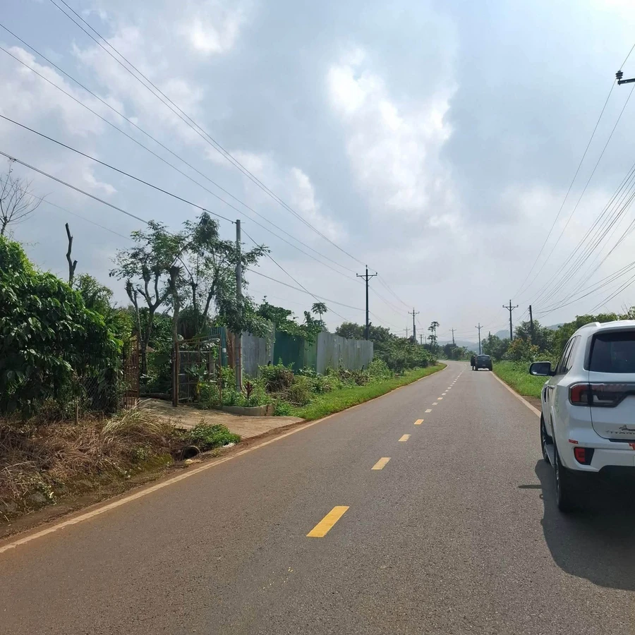 Bán đất mặt tiền kinh doanh 7x42m ở Bảo Lâm - Ảnh 1