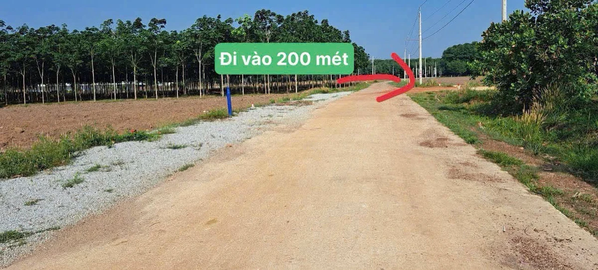 Bán đất mặt tiền 190m² giá rẻ Nha Bích Đồng Nai - Ảnh thu nhỏ 4