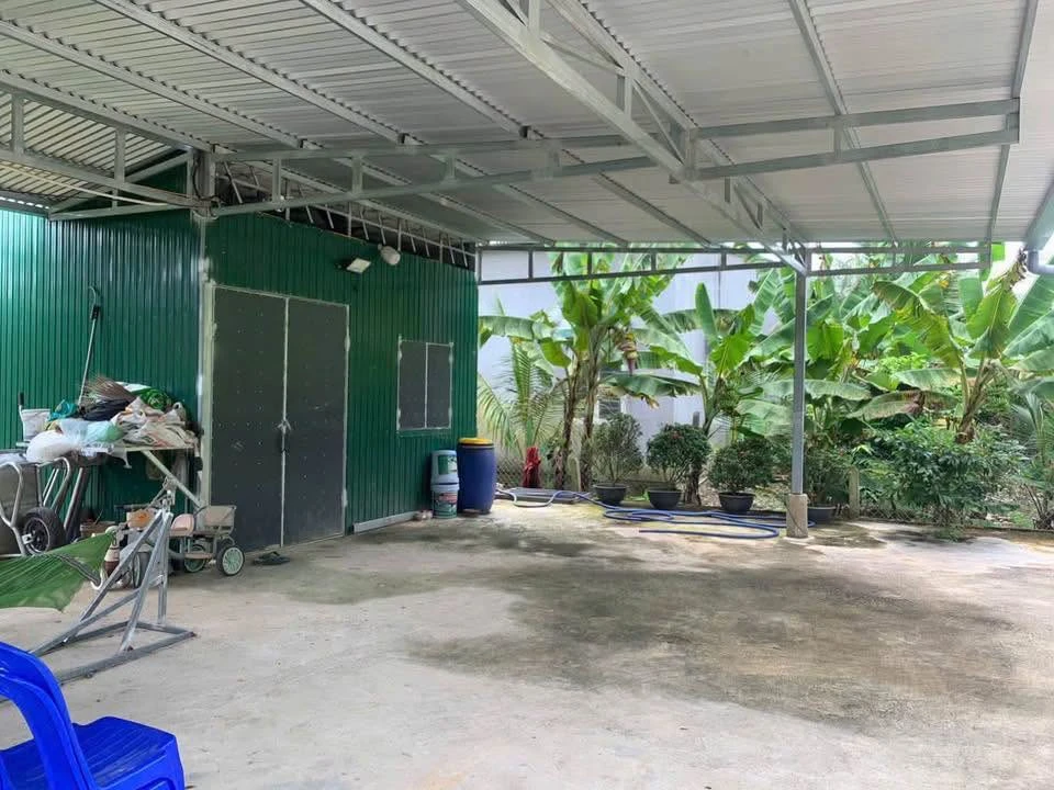 Bán đất vườn sầu riêng 3000m2 Xã Tà Lài Đồng Nai - Ảnh 1