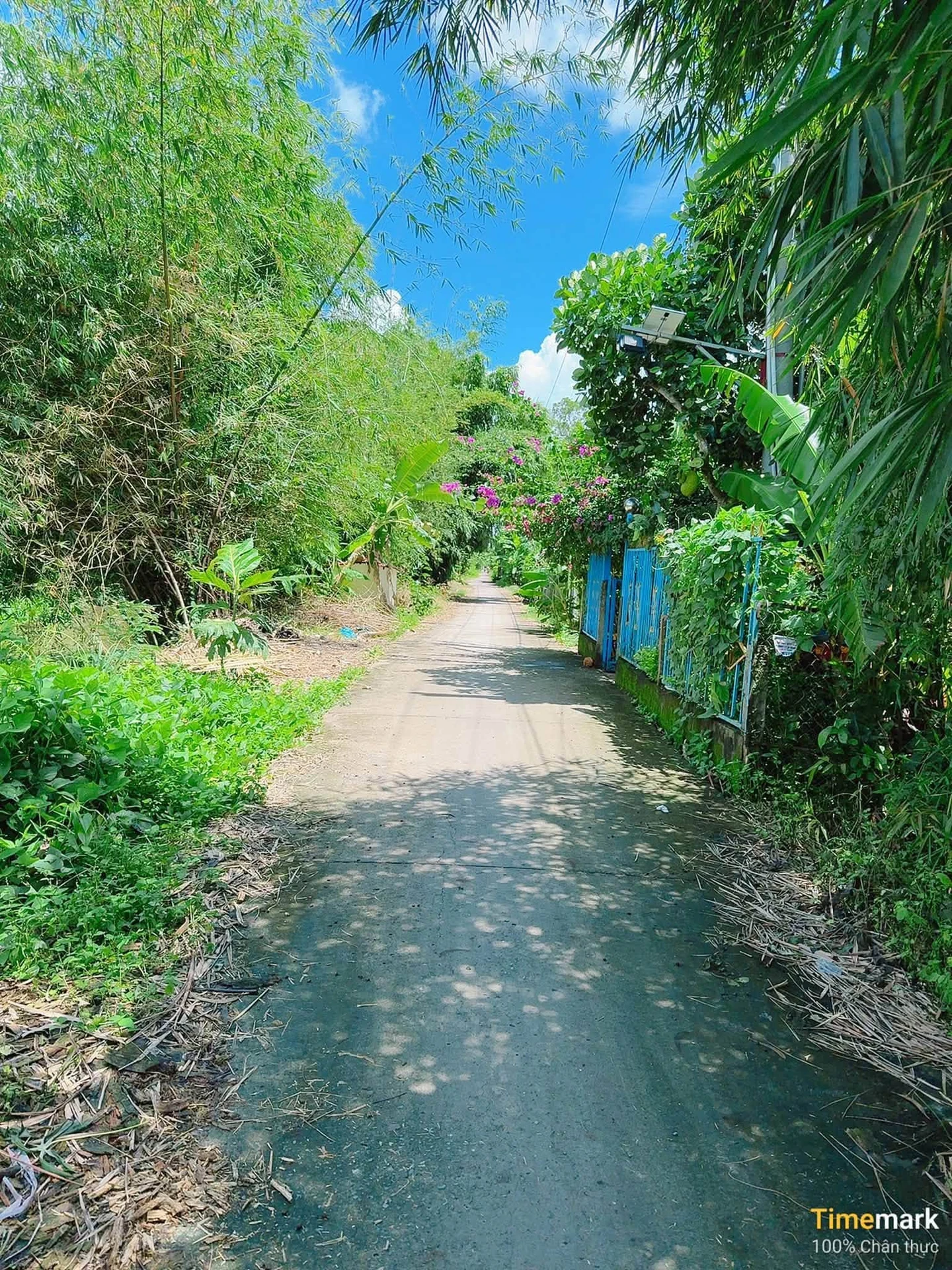 Bán đất 1000m² gần chợ Cây Dương, Phụng Hiệp - Ảnh 1