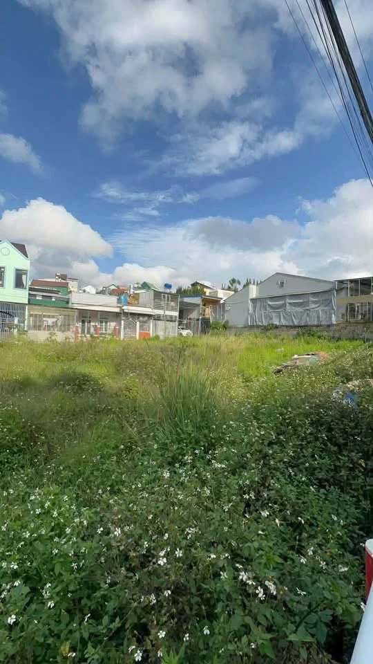Bán đất mặt tiền Lữ Gia Đà Lạt 500m² 11,5 tỷ - Ảnh thu nhỏ 2