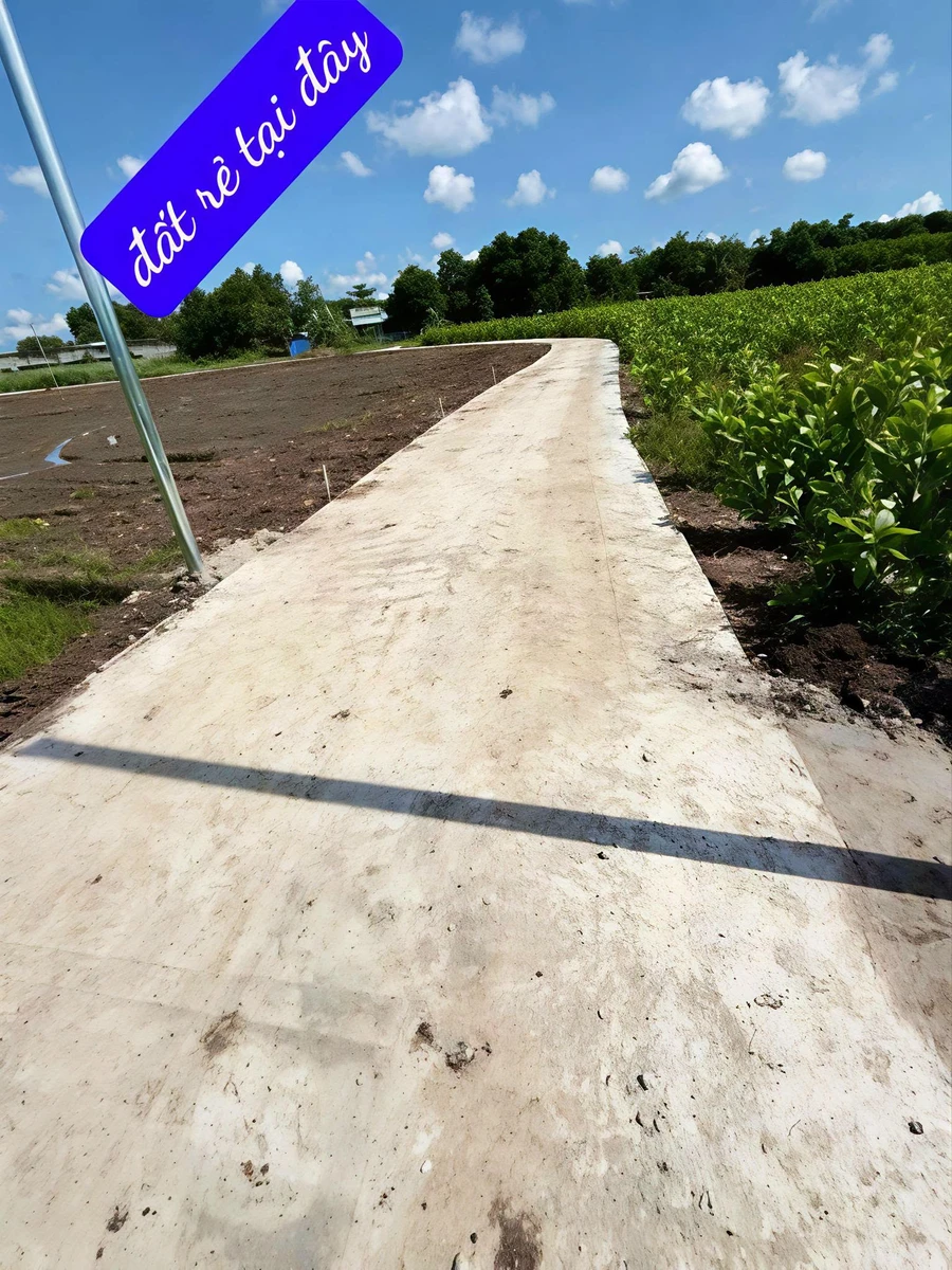 Bán đất thổ cư 127m2 xã Láng Dài, Bà Rịa - Vũng Tàu, 350 triệu - Ảnh thu nhỏ 2