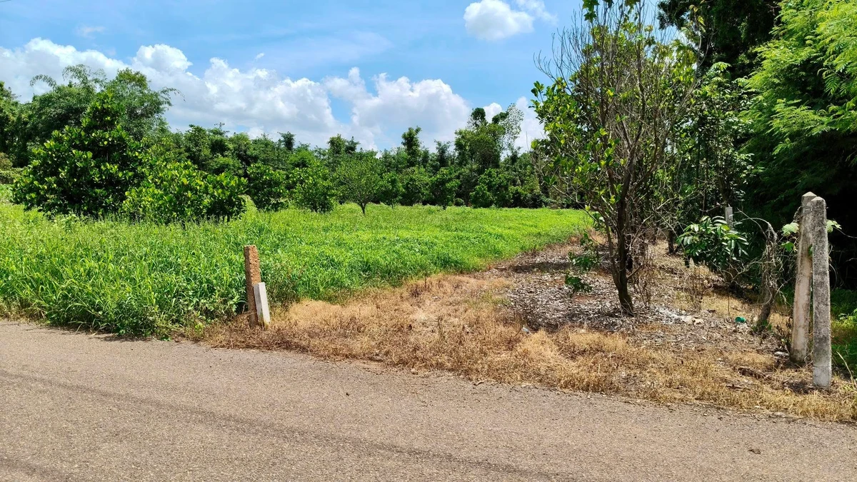 Bán đất 1.400m² đường nhựa Xã Nghĩa Thành, Bà Rịa - Vũng Tàu - Ảnh thu nhỏ 4