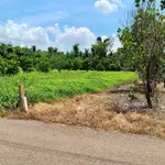 Bán đất 1.400m² đường nhựa Xã Nghĩa Thành, Bà Rịa - Vũng Tàu - Ảnh thu nhỏ 4