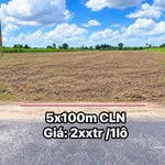 Bán đất vườn 5x100m (500m2) đường nhựa 8m tại Phường Bình Minh, Tây Ninh - Ảnh thu nhỏ 2