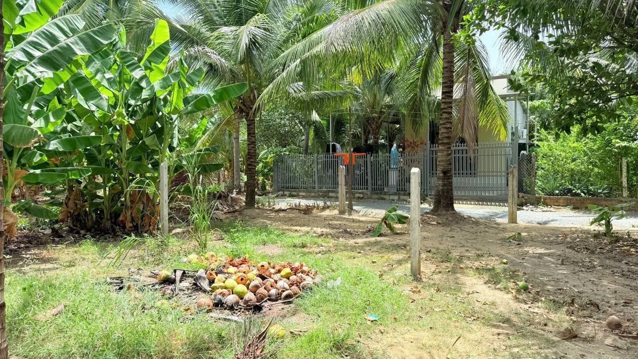 Bán đất Diên Tân Diên Khánh 120m² 440 triệu gần chợ - Ảnh thu nhỏ 5