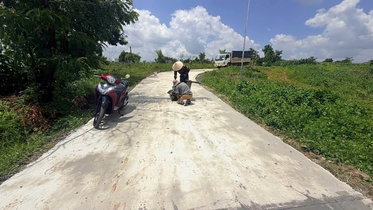 Bán đất 500m2 Bình Mỹ Thôn 8 495 triệu - Ảnh thu nhỏ 3