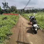 Bán đất nông nghiệp 1004m² 1 tỷ 650 triệu Tây Nguyên - Ảnh thu nhỏ 2