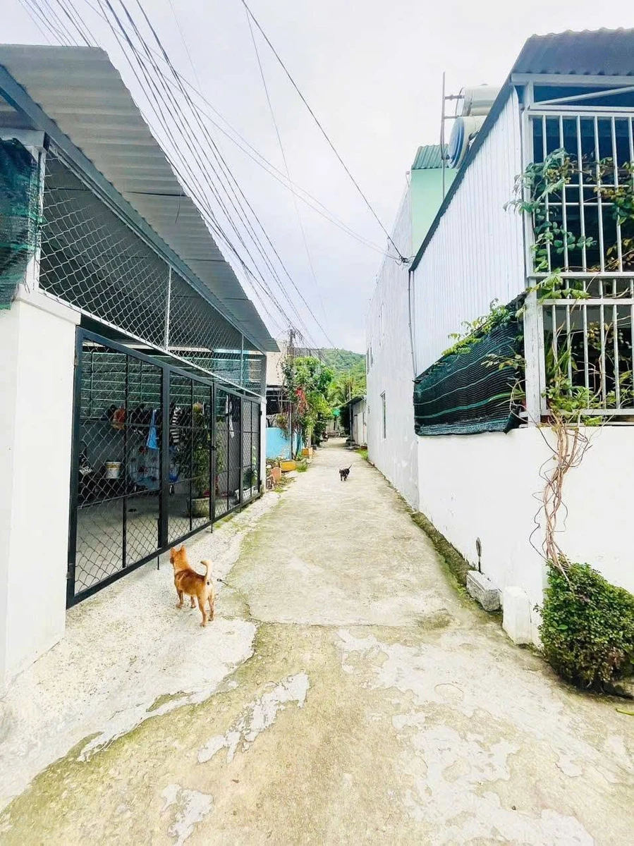 Bán lô đất 70m2 tại Nha Trang 799 triệu - Ảnh thu nhỏ 5