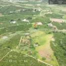 Bán đất 1.670m2 đất vườn có 200m2 thổ cư tại Tân Hà, Lâm Hà, Lâm Đồng, giá chỉ 870tr - Ảnh thu nhỏ 12