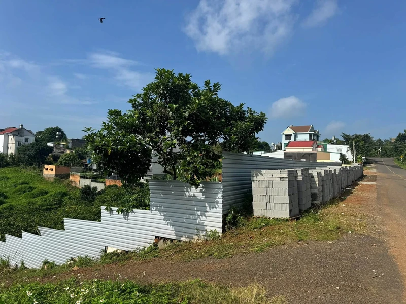 Bán đất Lý Chính Thắng, Bảo Lộc, 260m² - 1 tỷ 550
