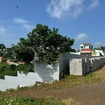 Bán đất Lý Chính Thắng, Bảo Lộc, 260m² - 1 tỷ 550 - Ảnh thu nhỏ 1