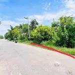 Bán đất thổ cư 11x45 mặt tiền đường nhựa gần Vinhomes Grand Park - Ảnh thu nhỏ 4
