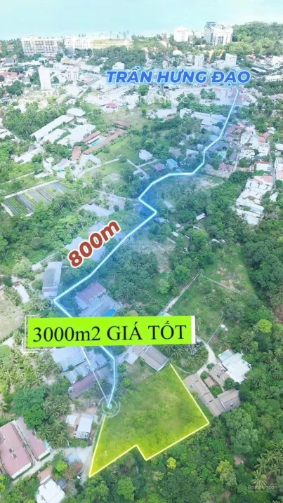 Bán 3.000m2 đất phố Tây Cửa Lấp QH đất ở chỉnh trang MT 51m giá chỉ 15tr/m2 - Ảnh 1