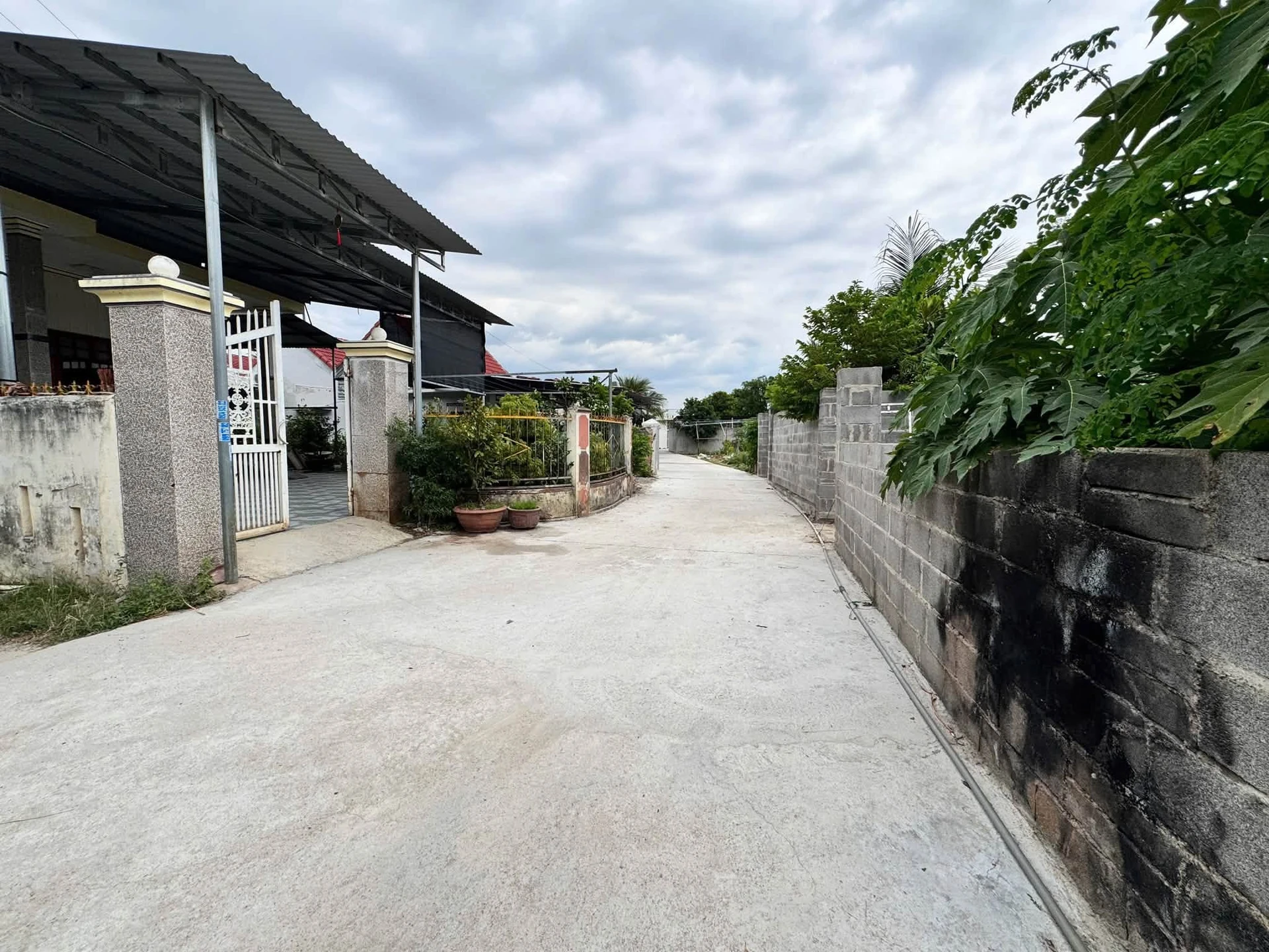 Bán đất thổ cư 114,9m2 giá 1 tỷ 100 triệu tại Diên Toàn, Diên Khánh, Khánh Hòa - Ảnh 1