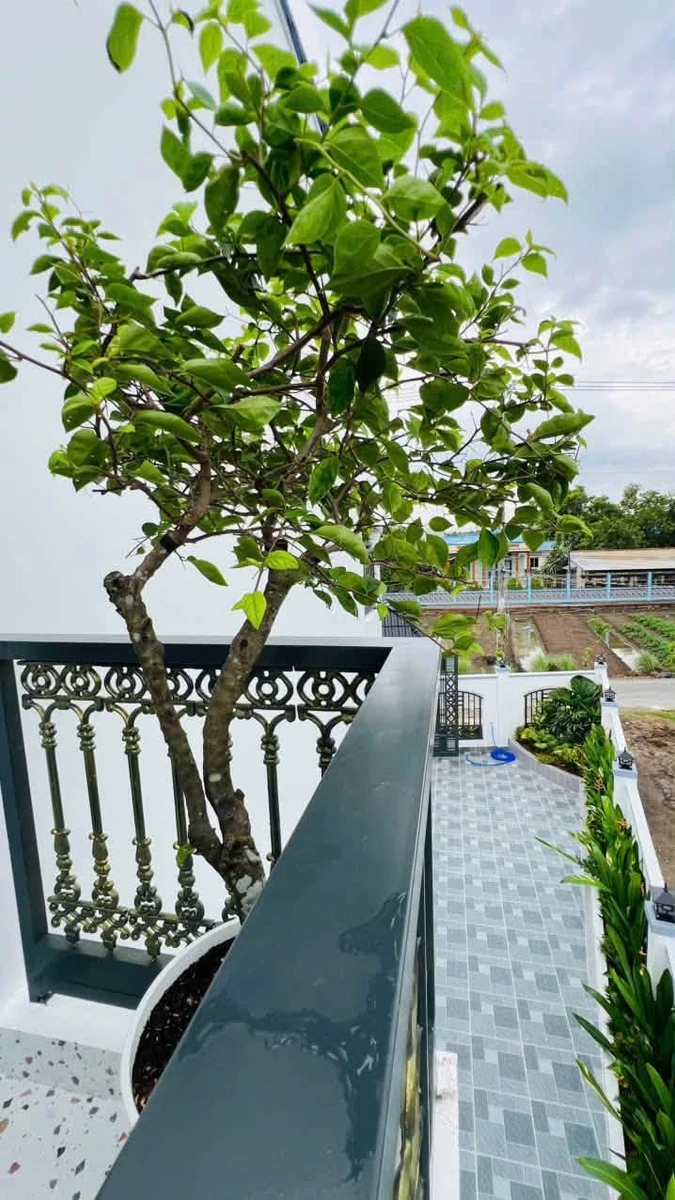 Bán nhà lầu sân vườn 164m2 mặt tiền nhựa 6m khu Lộc Trung, giá 3,35 tỷ - Ảnh thu nhỏ 4