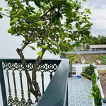 Bán nhà lầu sân vườn 164m2 mặt tiền nhựa 6m khu Lộc Trung, giá 3,35 tỷ - Ảnh thu nhỏ 4
