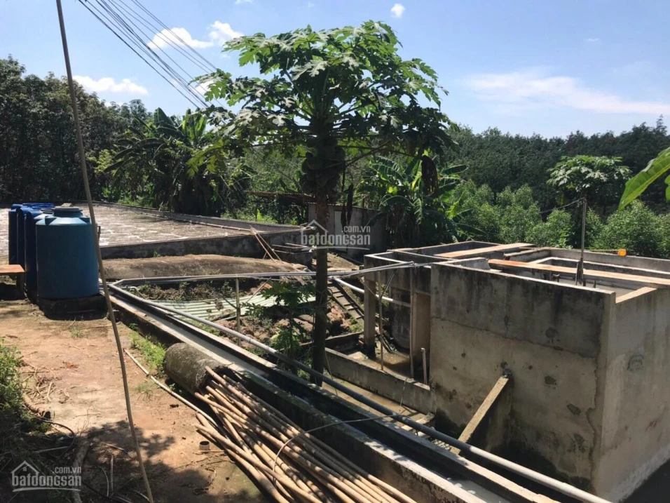 Chính chủ bán nhà máy chế biến mủ cao su Giang Sơn, 20.000m2, đang hoạt động tốt, pháp lý rõ ràng - Ảnh thu nhỏ 5