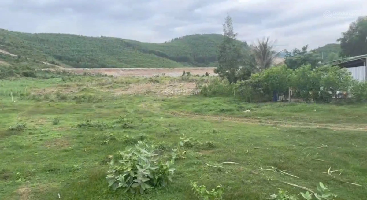 Cần ra nhanh lô đất diện tích 1.153m2 Xã Ninh Tây, Ninh Hòa, Khánh Hòa, có thổ cư - Ảnh thu nhỏ 2