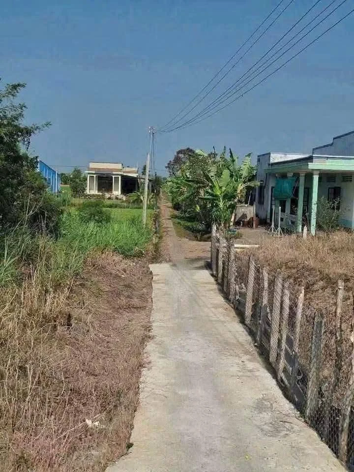 Bán đất 1000m² Tân Trung Gò Công Tiền Giang 459 triệu - Ảnh thu nhỏ 2