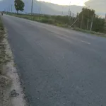 Bán đất thổ cư DT790 Bình Dương 7x67m, giá 740 triệu - Ảnh thu nhỏ 1