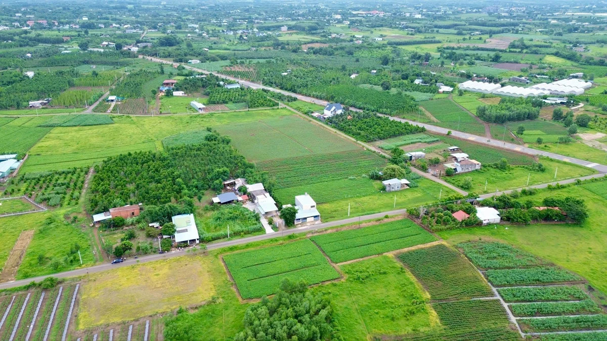 Bán đất mặt tiền 150m² Quảng Phú, Tân An, BRVT - 560 triệu - Ảnh thu nhỏ 4