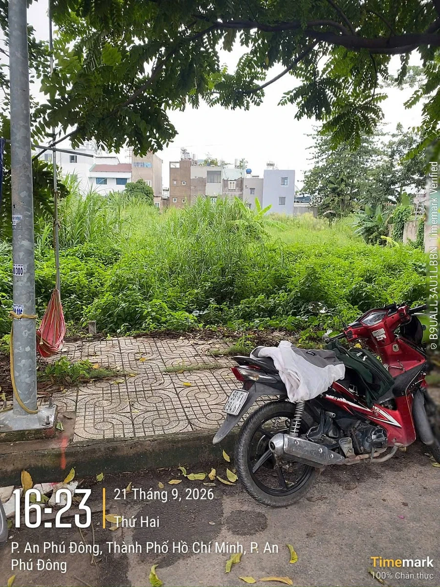 Bán nền đất 52,5 m² Gò Vấp, 3 tỷ 330 triệu - Ảnh thu nhỏ 4