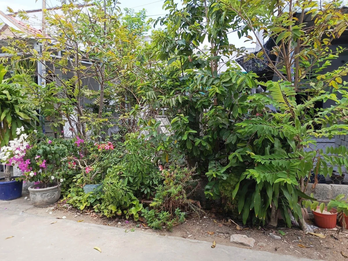 Bán đất tổ chức 93m² Phú Tài Phan Thiết 1 tỷ 600 triệu - Ảnh thu nhỏ 2