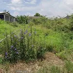Bán đất kiệt ô tô 150m² Dương Nổ Huế 1,55 tỷ - Ảnh thu nhỏ 1