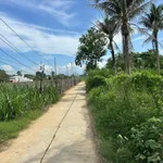 Bán 1552m2 đất vườn có nhà - Lương Cang, Đông Vinh - Phan Rang - 990tr bao sổ - Ảnh thu nhỏ 4