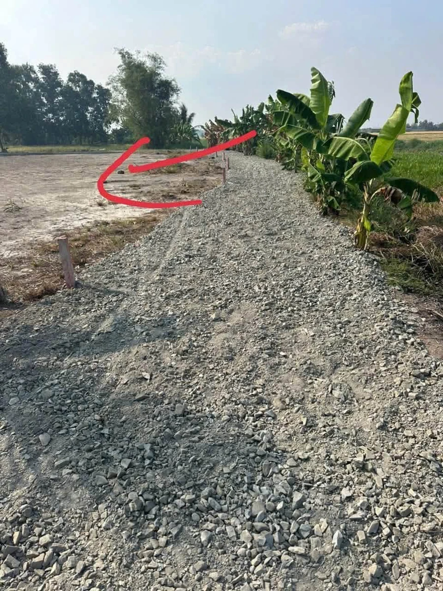Bán 149m đất thổ cư Phước Đông, Cần Dước 300 triệu - Ảnh 1