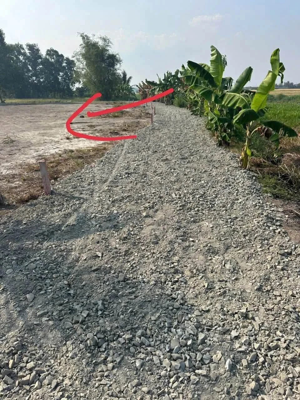 Bán 149m đất thổ cư Phước Đông, Cần Dước 300 triệu - Ảnh 1