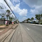 Bán đất mặt tiền Trần Hưng Đạo 390m² 4,2 tỷ Tân Thành - Ảnh thu nhỏ 2
