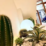 Bán nhà 3 tầng 3PN gần Aeon Tân Phú 40m² 5,990 tỷ - Ảnh thu nhỏ 3