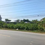 Bán Đất 1053,5 m2 tại Đường Quốc lộ 54, Xã Tân Thành, Huyện Lai Vung, 4,2 tỷ - Ảnh thu nhỏ 2