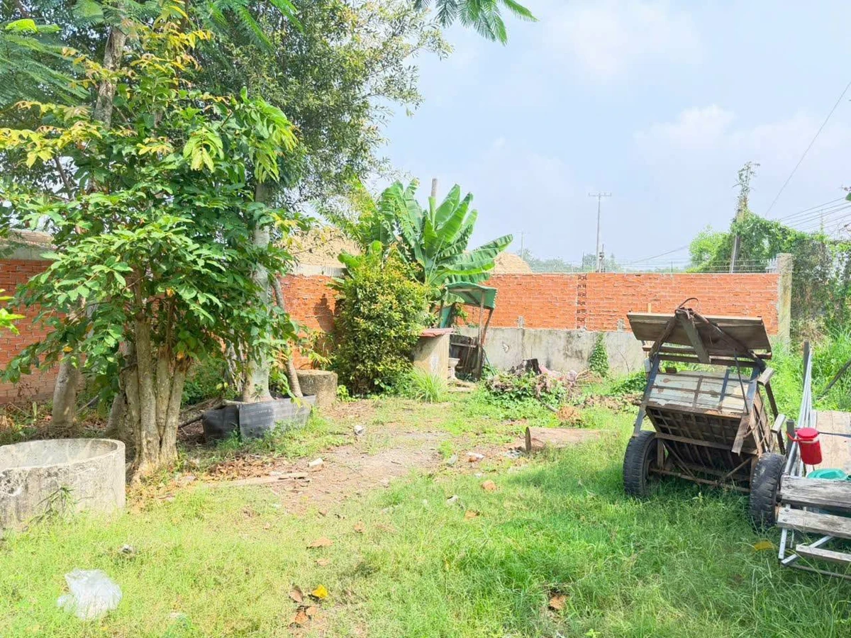 Bán đất mặt tiền QL 22B 235m² Tây Ninh 900 triệu - Ảnh thu nhỏ 5