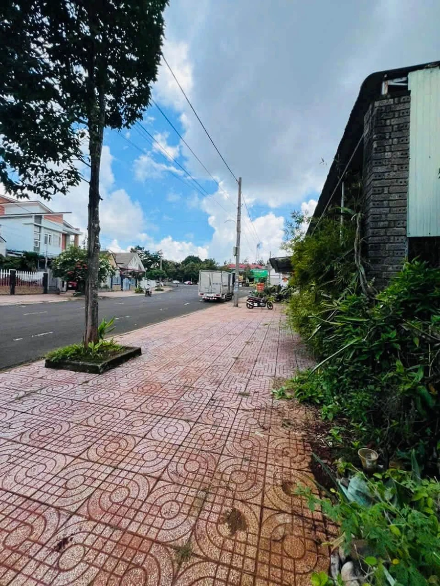 Bán đất 300m² Đường Hàm Nghi, Lâm Đồng 3,9 tỷ - Ảnh thu nhỏ 2