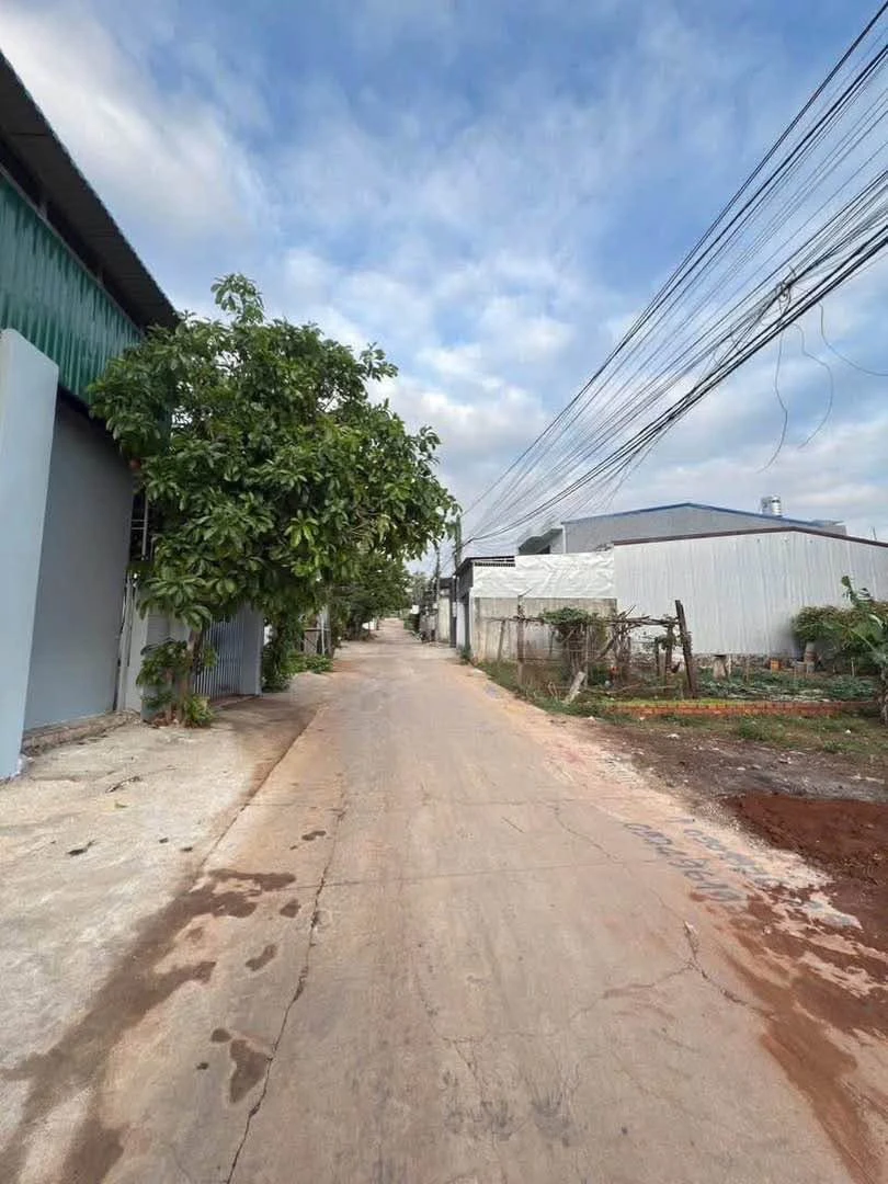 Bán đất Tân Lợi 115m² giá 3,19 tỷ - Ảnh thu nhỏ 3