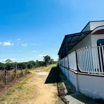 Bán đất hẻm chính 126 Trần Văn Ơn, 690m², Bình Tân - Ảnh thu nhỏ 3